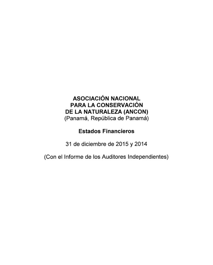 Informe de auditoría 2014-2015