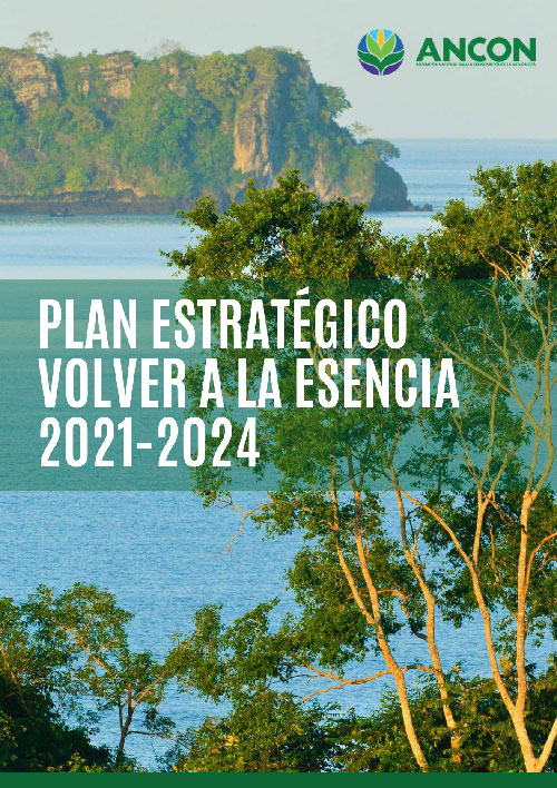 Plan Estratégico 2021 – 2024